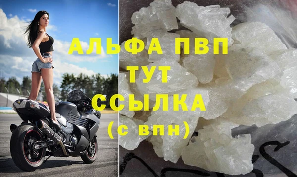 хмурый Белокуриха